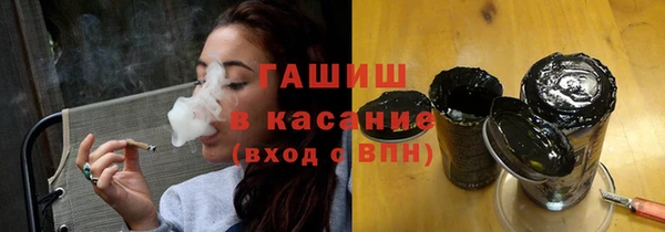 индика Богданович