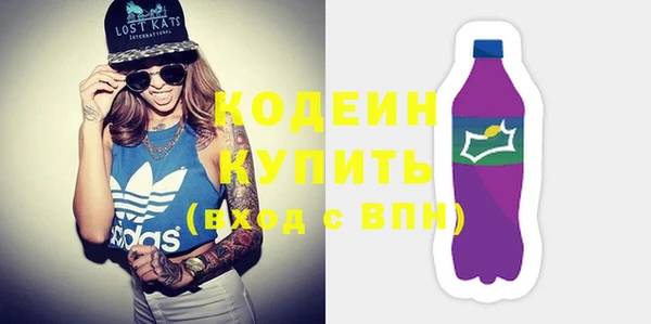 индика Богданович