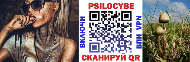 продажа наркотиков Валуйки Галлюциногенные грибы Psilocybine cubensis